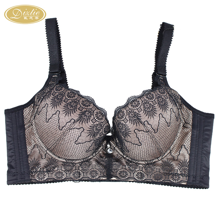 戴芝蒂专柜正品内衣中模杯调整