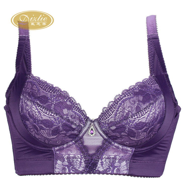 戴芝蒂正品包邮 五排扣大罩杯调整型文胸d9130  g1011