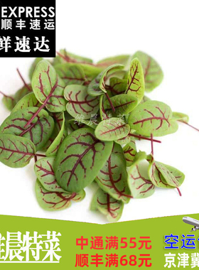 新鲜叶片酸膜叶红酸膜草酸模叶西餐摆盘装饰可食用 70片/盒/件