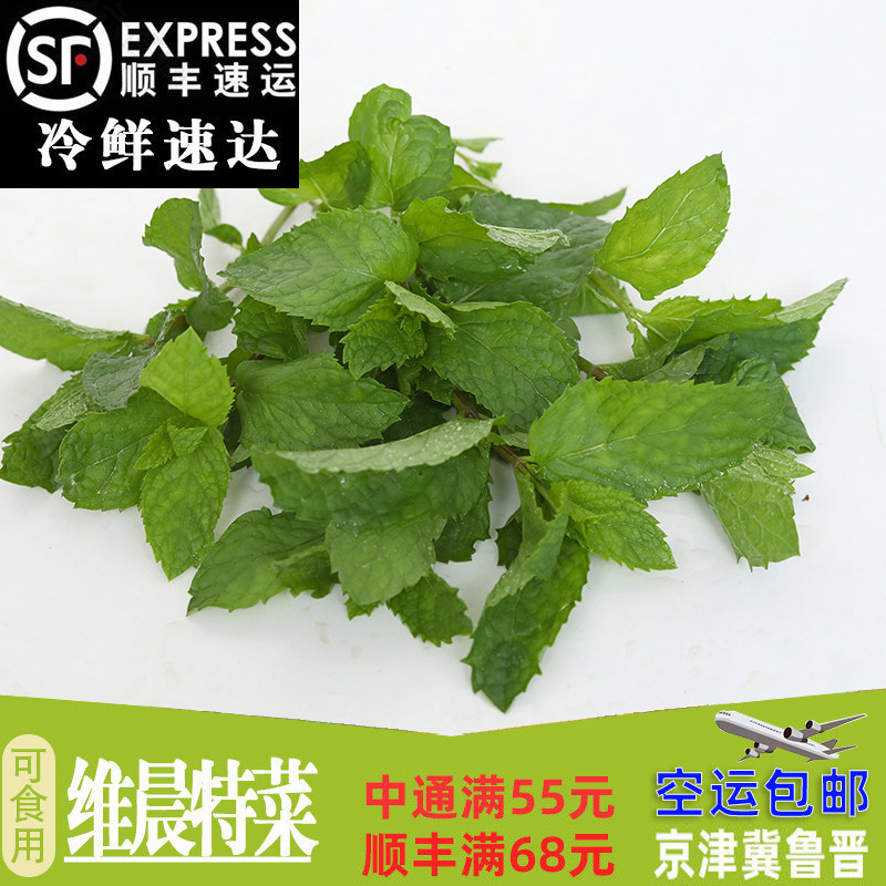 新鲜带茎薄荷叶 莫吉托 调酒带其它