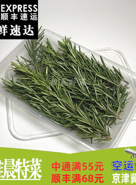 新鲜迷迭香 提神醒脑香料 西餐调料艾菊 匍匐迷迭香食用香草 120g