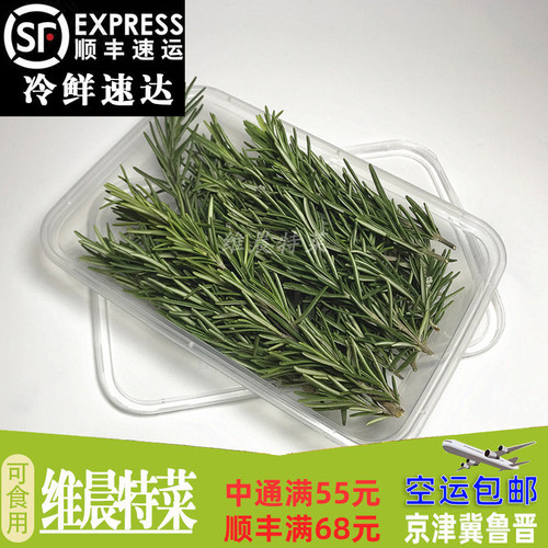 新鲜迷迭香 提神醒脑香料 西餐调料艾菊 匍匐迷迭香食用香草 120g