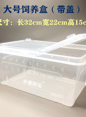 豪华塑料盆爬宠相手蟹水陆两栖盒观赏蟹饲养盒宠物蟹豆豆蟹别墅