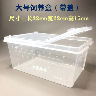 豪华塑料盆爬宠相手蟹水陆两栖盒观赏蟹饲养盒宠物蟹豆豆蟹别墅