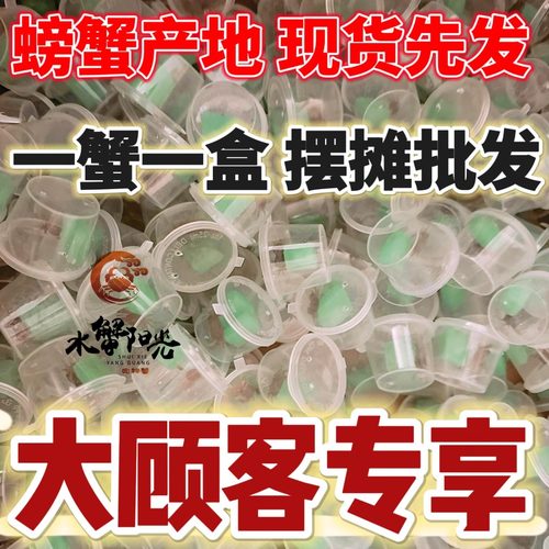 小螃蟹批发文具店商场摆摊网红迷你辣椒蟹桌面爬宠生态微景观易养