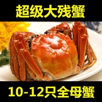 10-12只全母蟹红膏生态大闸蟹鲜活水产螃蟹残蟹次蟹簖蟹净重2.5斤
