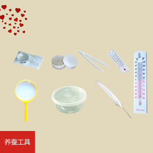 养蚕专用工具孵化盒温度计放大镜蚕夹鹅毛分养盒饲养盒清洁网齐全
