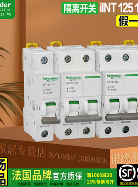 正品施耐德INT小型负荷隔离开关断路器iINT125 2P3P4P63A100A125A