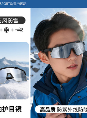 冬季雪地护目镜大框户外运动眼镜