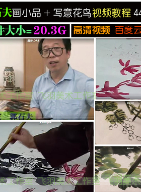 郭石夫画小品大写意花鸟国画教程视频44讲学习绘画电子版网盘素材