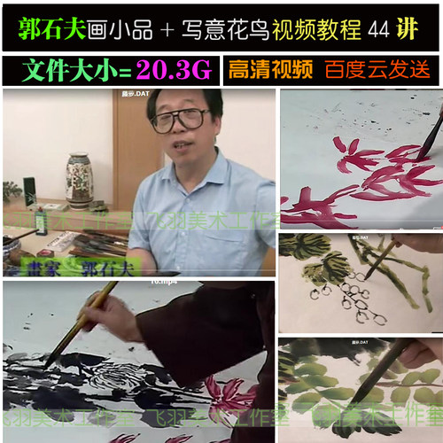 郭石夫画小品大写意花鸟国画教程视频44讲学习绘画电子版网盘素材