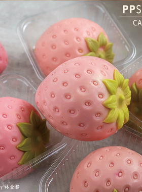 PPSOAP硅胶手工皂模具 蜡烛石膏香薰模 扩香石 DIY材料工具 CA040