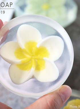 PPSOAP原创手工皂模具收纳食品级烘焙硅胶模 皂中皂 CS019 鸡蛋花