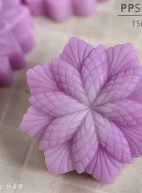 PPSOAP原创设计食品级硅胶模 手工皂 烘焙模具 TS031 绚烂之星