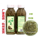 杭州千野莼菜新鲜采摘蔬菜净菜纯菜BM级叶芽厂家直供新品 包邮 组合