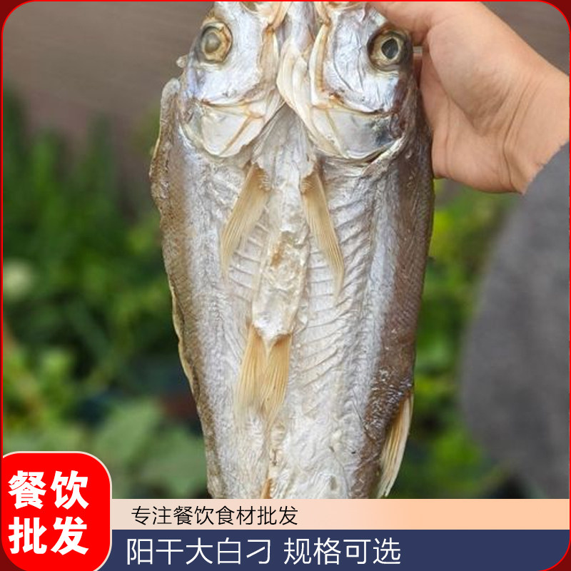 阳干大白刁风干白刁翘嘴鱼