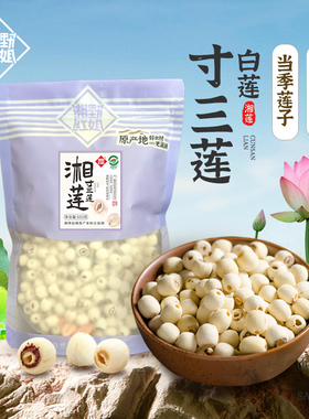湘野红姐去芯磨皮白莲干货莲子百合煲汤新鲜当季湘莲寸三莲无熏硫