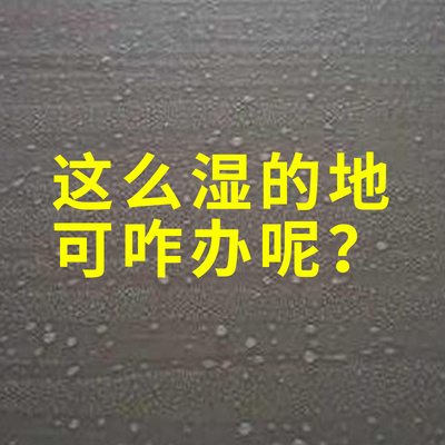 吸水海绵拖把免手洗旋转对折式挤水家用地拖布干湿两用胶棉拖把头