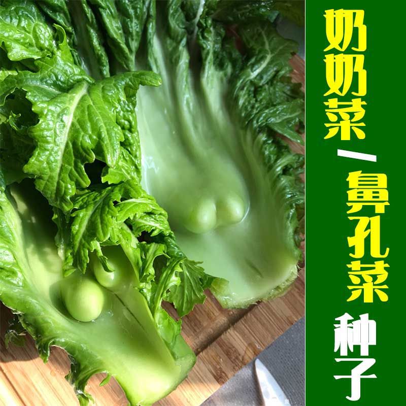 撇了菜是什么菜图片,撇了菜是什么菜_大山谷图库