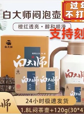 白大师福鼎白茶闷泡壶白茶大师方片壶礼盒套装组合正品茶具套装