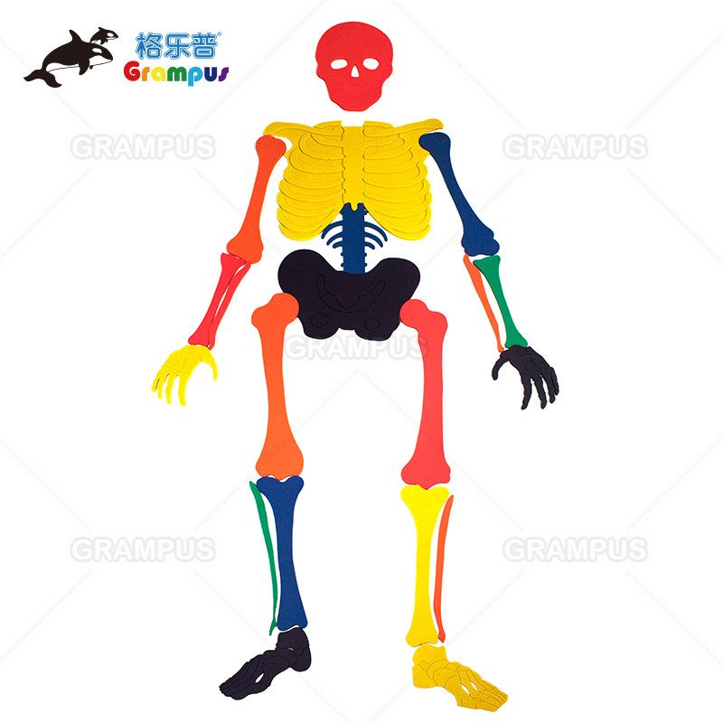 拼图早教儿童团队游戏器官