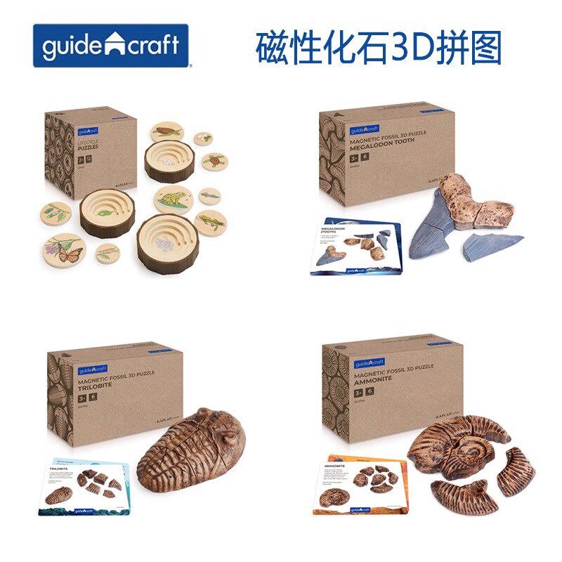 磁性化石3D拼图巨齿鲨牙齿菊石海螺三叶草生命周期Guidecraft儿童