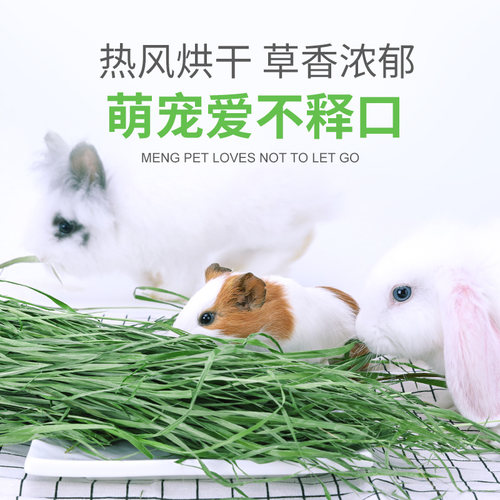 兔牙妹 烘干提摩西草提木西草兔兔龙猫豚鼠荷兰猪北提干草   包邮 - 封面