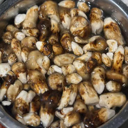 现货每日发甘孜阿坝小金新鲜松茸雅江松茸非云南香格里拉松茸