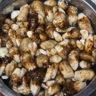 现货每日发甘孜阿坝小金新鲜松茸雅江松茸非云南香格里拉松茸