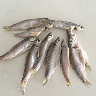 湖南岳阳老家特色风干鱼阳干刁子鱼干货晒制白条鱼餐条鱼1斤500g