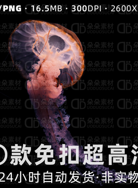 水母PNG免扣psd素材超高清透明背景实景发光黄色海底生物商用设计