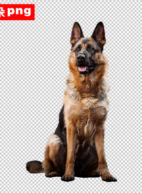 德国警犬免扣png警犬ps素材透明背导盲犬狼犬狗动物设计素材68款