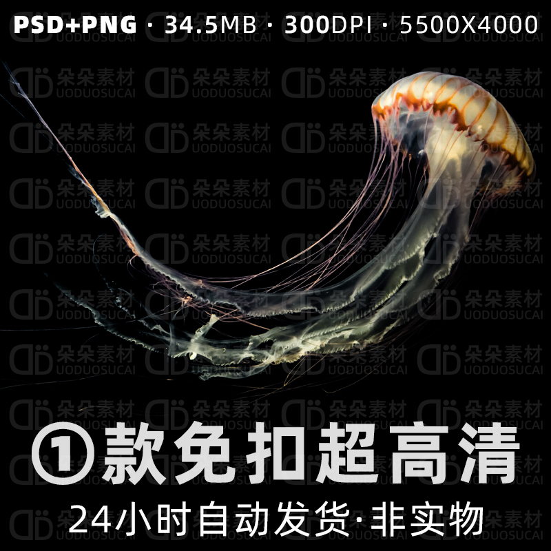 水母png免扣psd超高清素材透明背景实景发光黄色蜇海生物商用设计
