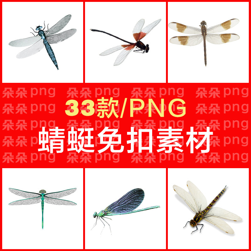 蜻蜓png免扣图ps素材透明背景昆虫红蜻蜓手绘设计材素广告商用33