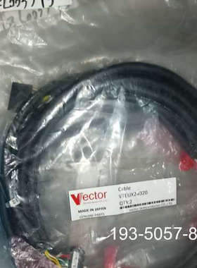 Vector马达延长线VTEUX24020 DMCS13详谈报价