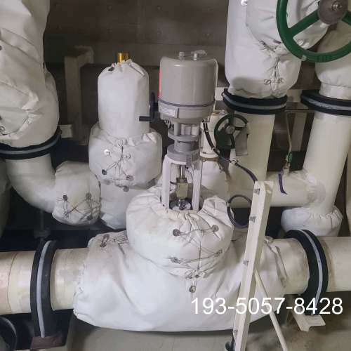 普莱格温控阀驱动头 SBA45-3 PLEIGE详谈报价