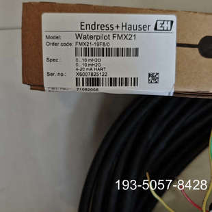 0静压式 原装 液位计陶价格详谈 19F8 FMX21 正品 waterpilot