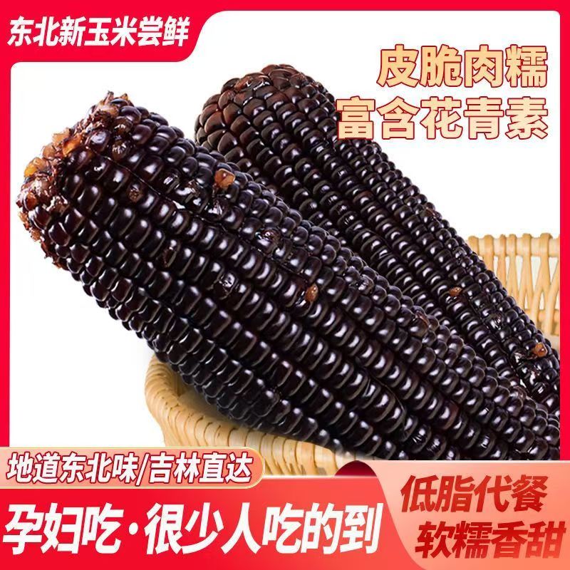 东北黑糯玉米甜玉米真空包装新鲜采摘甜粘苞米低脂早餐10棒