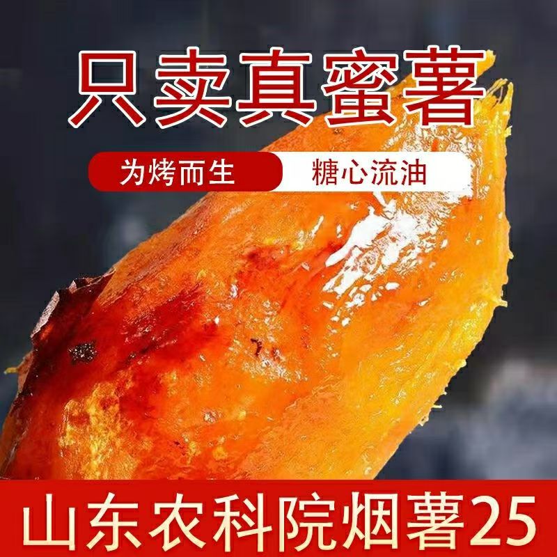 红薯板栗红薯现挖现发