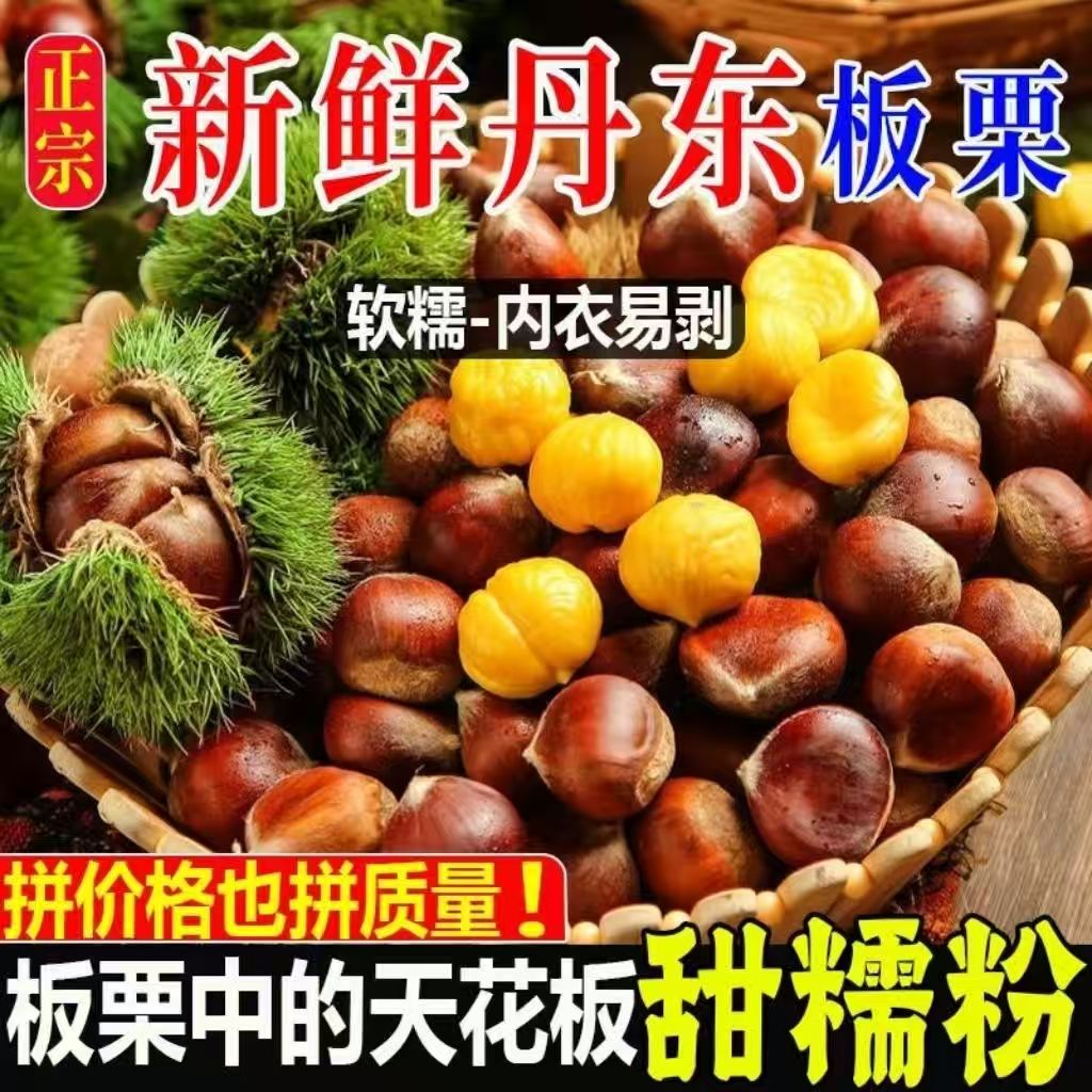 新鲜生辽宁丹东菜板栗栗子栗仁新鲜板栗板栗大板栗产地