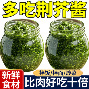 新鲜荆芥下饭酱拌面酱河南特产新货罐装拌面荆芥酱下饭神器调味料