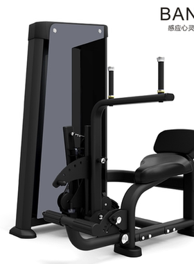 班夫 腰/腹训练器专业健身房企业室内力量训练器BF-FH85