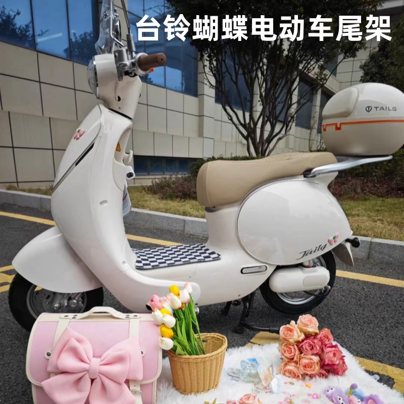 适合台铃蝴蝶后备箱支架衣架