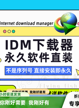 IDM下载器Internet Download Manager网页视频文件下载无需注册