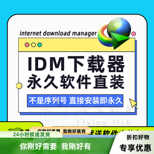 IDM下载器Internet Download Manager网页视频文件下载无需注册