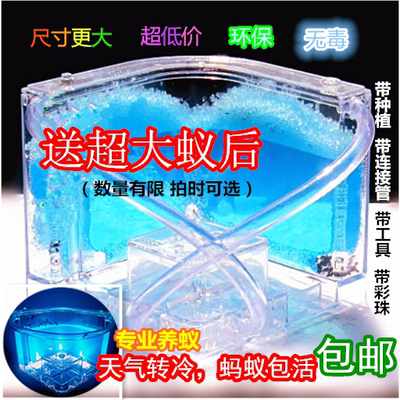 蚂蚁工坊蚂蚁城堡蚁后繁殖玩具