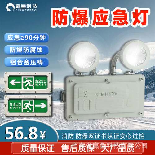 防爆应急灯双头照明灯led疏散标志灯消防照明灯加油站EX安全出口