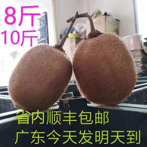 广东河源和平趣香猕猴桃绿果奇异果大果顺丰快递礼品箱送礼佳品