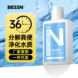 硝化细菌鱼缸净水剂消化细菌硝化活菌非鱼药养鱼用品净化水质稳定