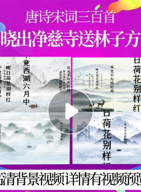 L46392Z晓出净慈寺送林子方[宋]杨万里唐诗宋词古诗背景视频